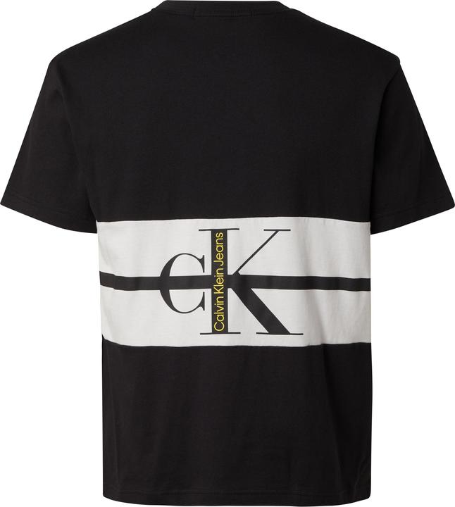 Actual product image Calvin Klein Jeans Stripe Colorblock T-Shirt - 102733 (M)
