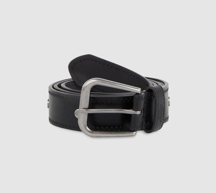 Actual product image Dickies Studded Belt (XL)