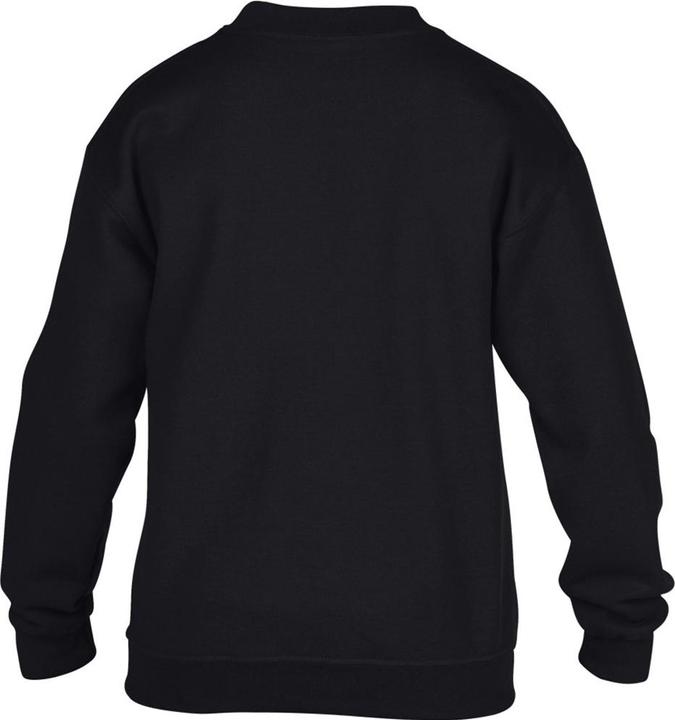 Image du produit Gildan Sweat-shirt à col rond (XL)