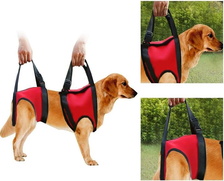 Actual product image Filfeel Hunde-Tragehilfe für Vorderbeine (M, Dog)