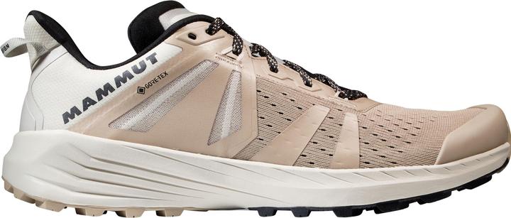 Immagine prodotto Mammut Saentis TR Low GTX Uomo (45.5)