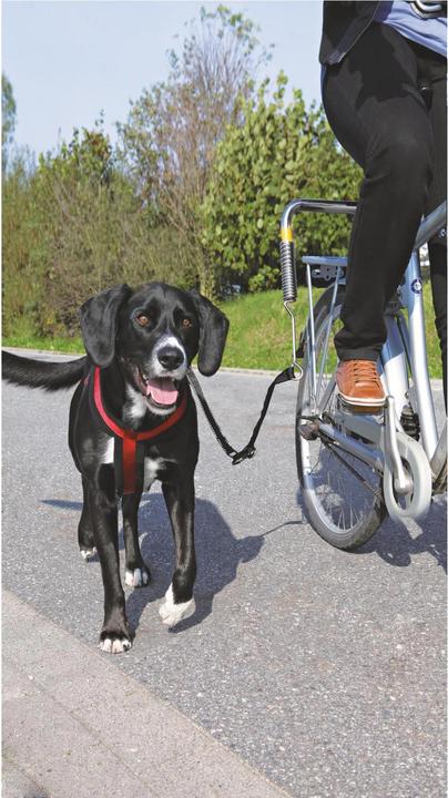 Produktbild Trixie Biker-Set (Hund, Reflektoren)