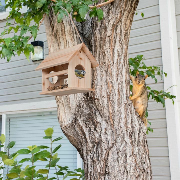Actual product image Relaxdays Bird Feeder