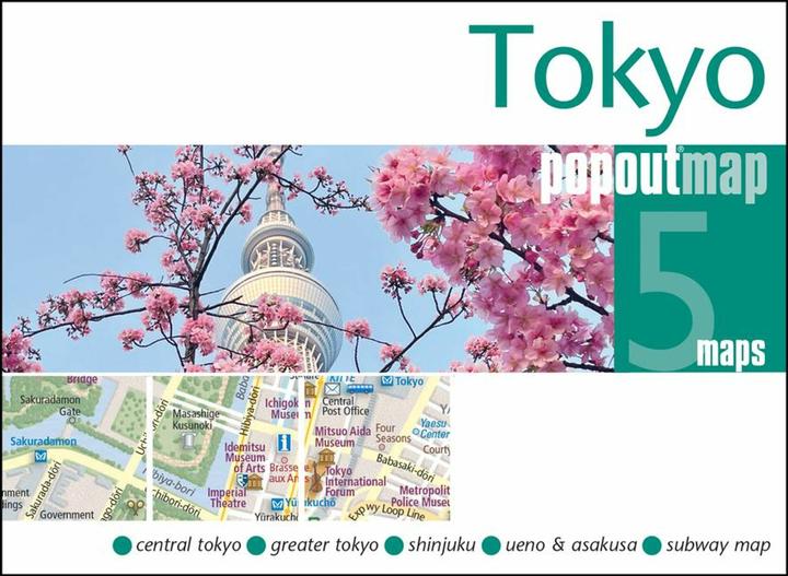 Actual product image Tokyo PopOut Map