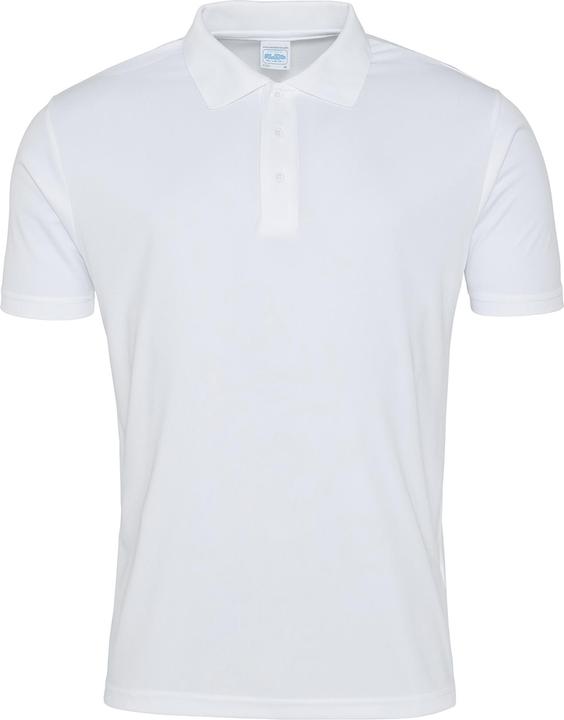 Blanc arctique