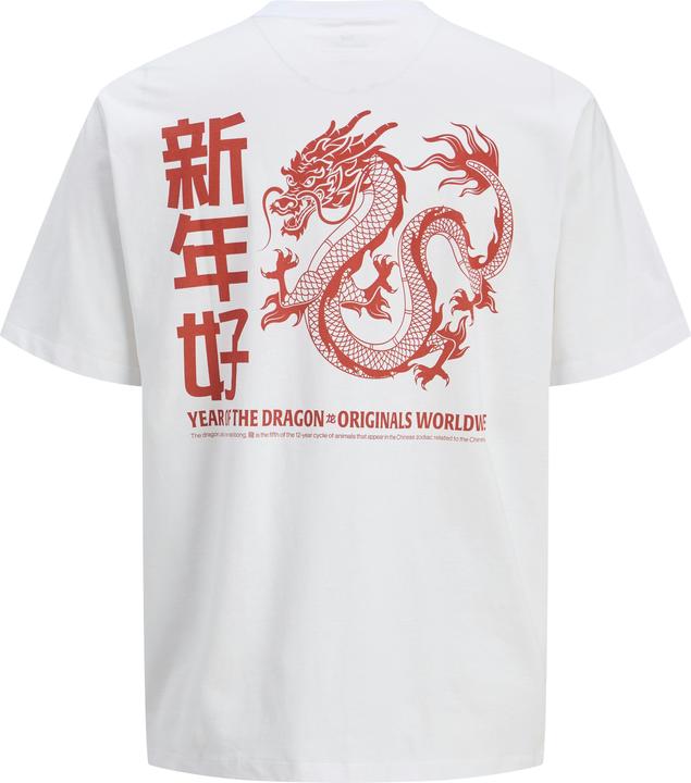 Actual product image Jack & Jones Jorsnake Tee Ss Crew Neck Tg Ln (XXL)