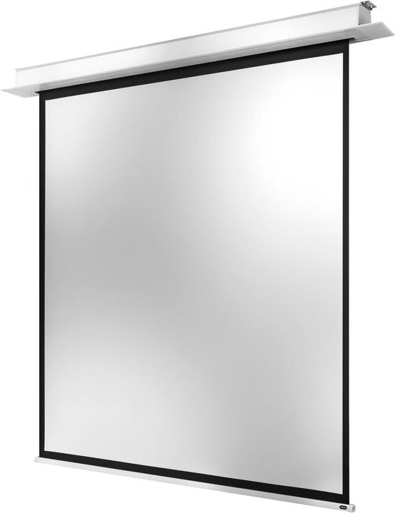 Immagine prodotto Celexon Installazione a soffitto Motore professionale + (111.02", 1:1)
