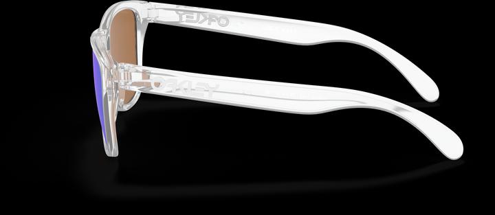Actual product image Oakley Frogskins XS