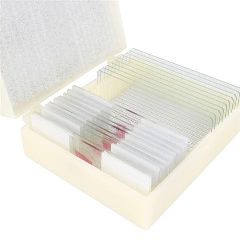 Immagine prodotto Konus Set di preparazione Corpo umano (25 pezzi)