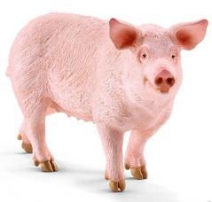 Produktbild Schleich Schwein