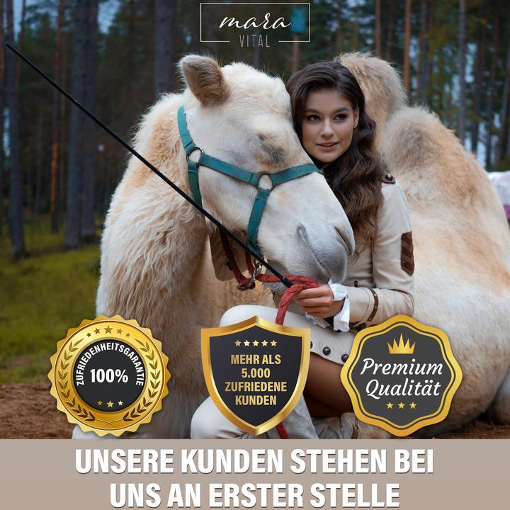 Actual product image Mara Vital Camel hair pillow (65 x 100 cm)