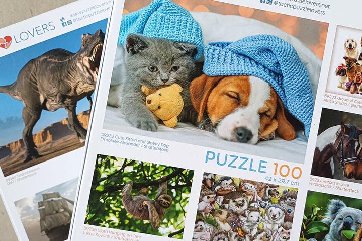 Produktbild Selecta Spielzeug Puzzle Süsses Kätzchen und schläfriger Hund, 100 Teile. (100 Teile)