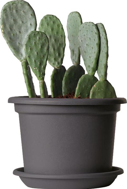 Immagine prodotto Euro3plast Fioriera (30 cm)