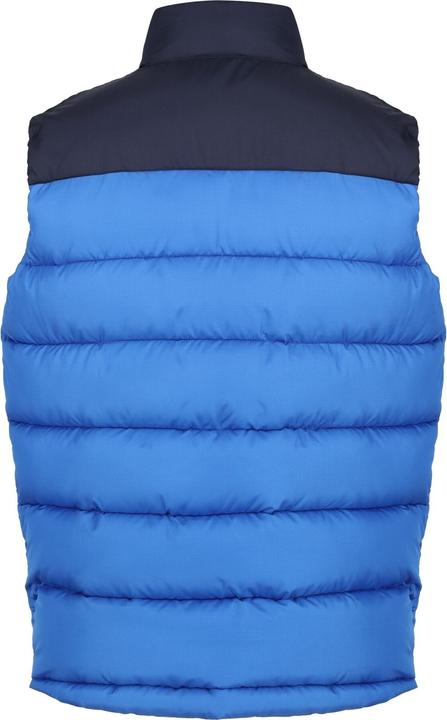 Actual product image Regatta Mens Vintage Colour Block Gilet (3XL)