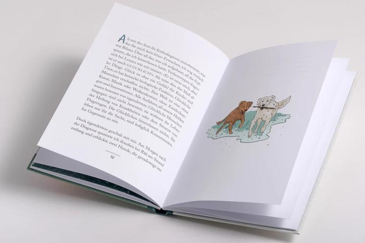 Actual product image Der Handel deines Lebens (German, Fredrik Backman, 2023)