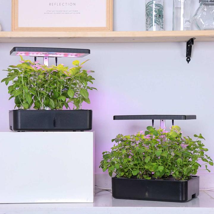 Actual product image Litrax LX202 - ROBIN salad garden