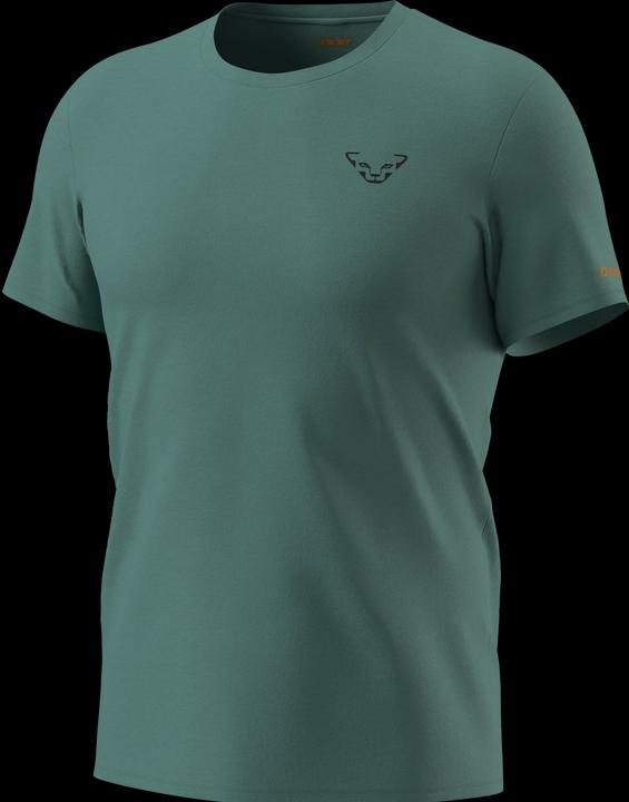 Actual product image Dynafit 24/7 Graphic T-Shirt (XL)