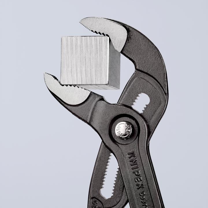Image du produit Knipex Cobra (300 mm)