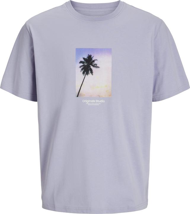 Image du produit Jack & Jones Jorvesterbro Picture Tee Ss Crew Neck Sn (XL)