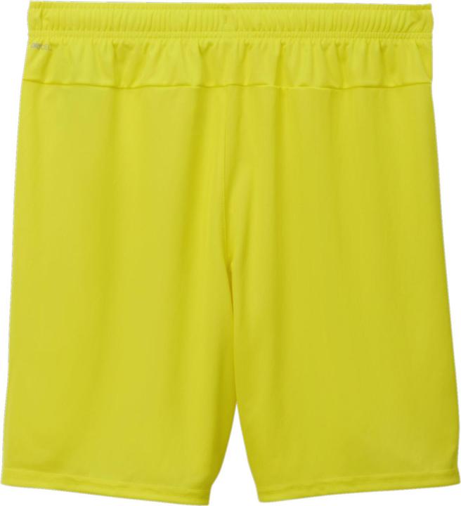 Actual product image Puma teamGOAL shorts (XL)