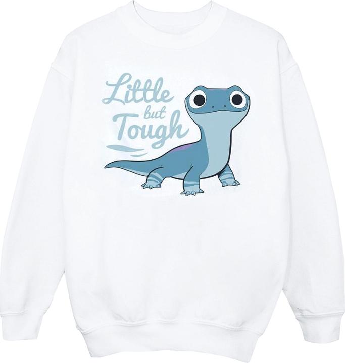 Produktbild Disney Frozen 2 Salamander Bruni Tough Sweatshirt Jungen (128)