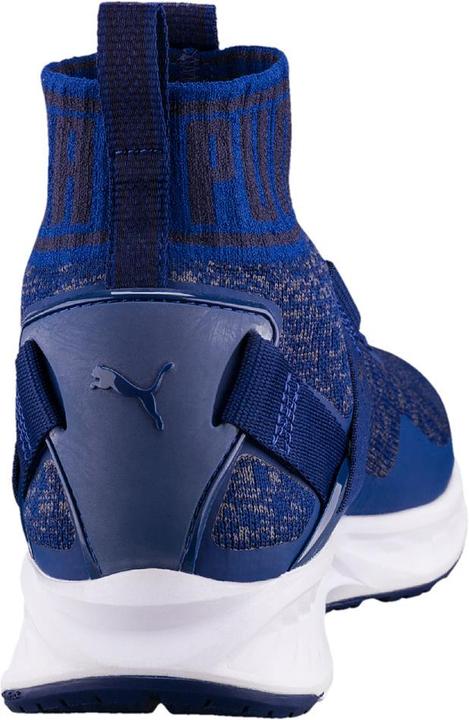 Actual product image Puma IGNITE evoKNIT (43)