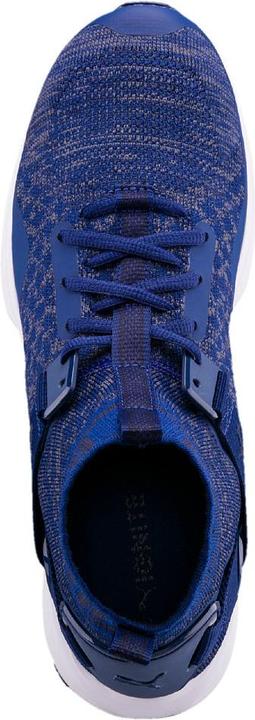 Actual product image Puma IGNITE evoKNIT (43)
