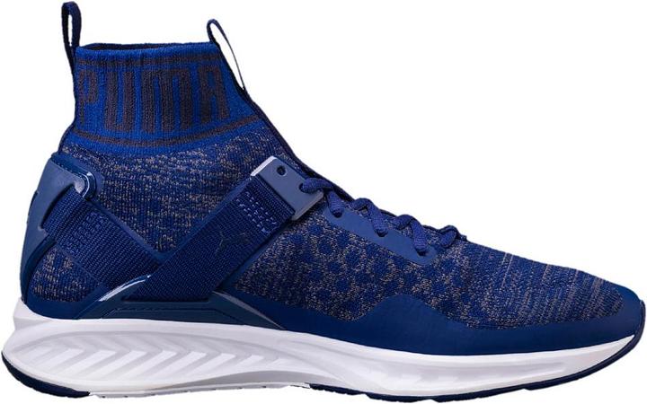 Actual product image Puma IGNITE evoKNIT (43)