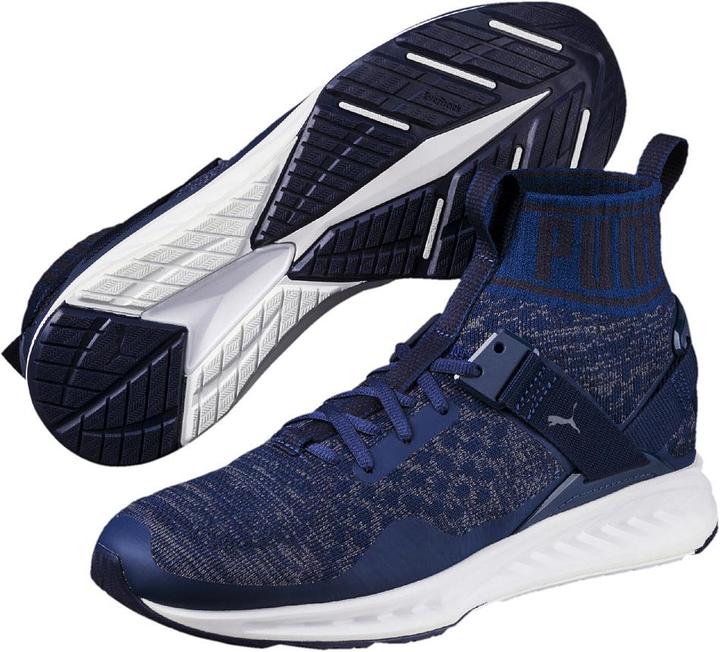 Actual product image Puma IGNITE evoKNIT (43)