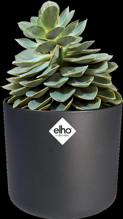 Actual product image Elho b.for soft (18.30 cm)