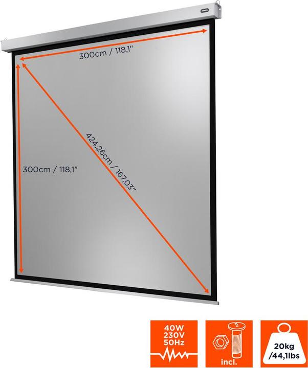 Actual product image Celexon Motor Professional Plus (167", 1:1)