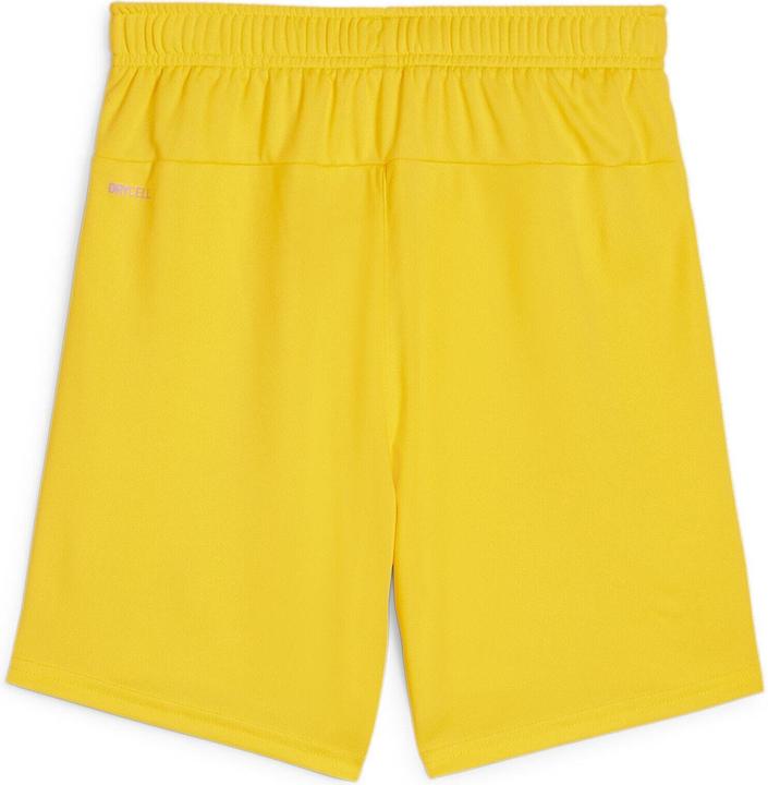 Image du produit Puma teamGOAL Short Jr (164)