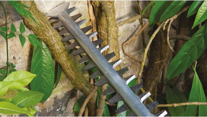 Actual product image Bosch Home & Garden AdvancedHedgeCut 65 (Electric hedge trimmer)