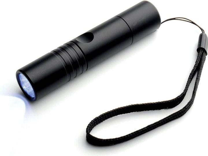Actual product image Travel Blue Torch with LED black