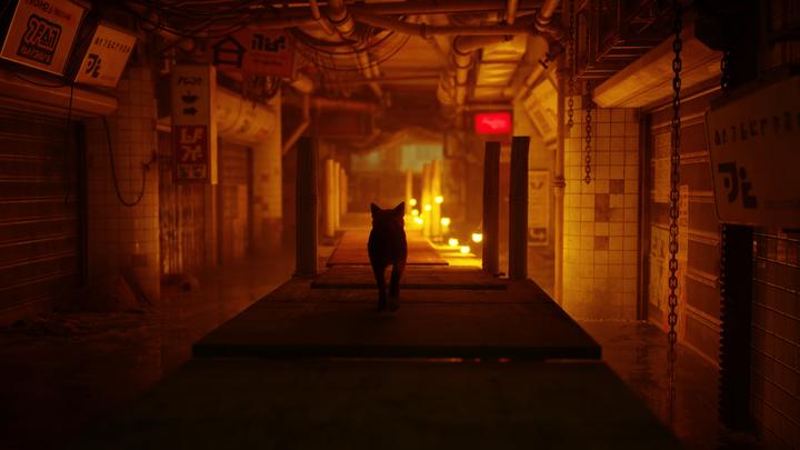 Image du produit Annapurna Interactive Stray (PS5, EN)