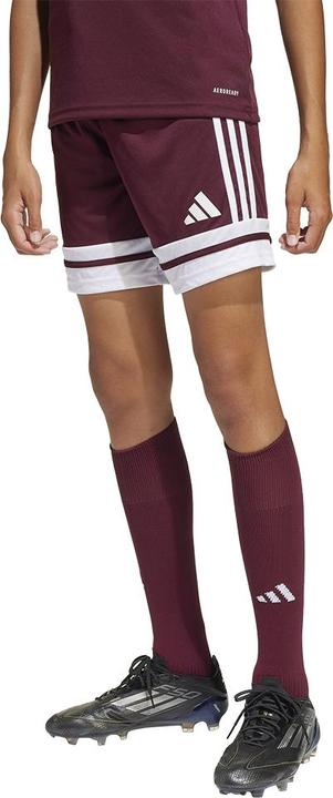 Actual product image adidas Squadra 25 Short Kids (152)