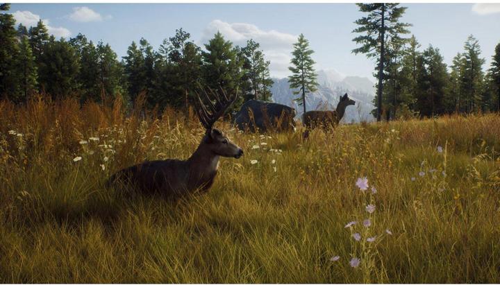 Actual product image THQ Way of the Hunter (PS5, EN, FR, IT)