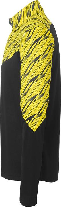 Actual product image Uhlsport 1/4 ZIP TOP Progressive 28 (140)
