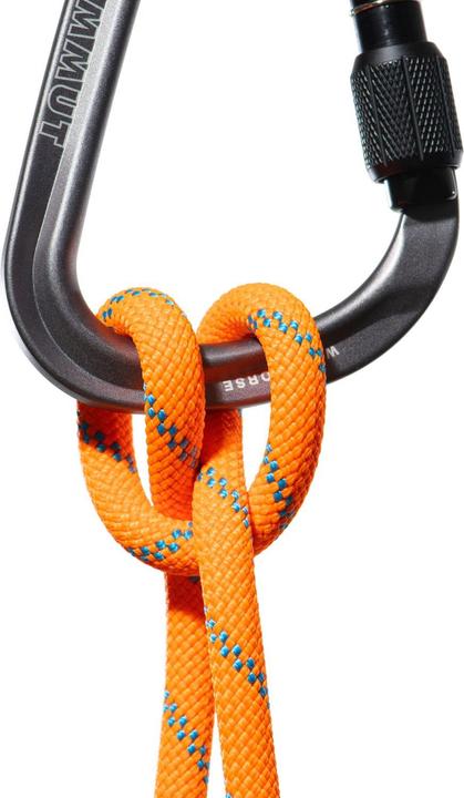 Image du produit Mammut 8.7 Corde sèche Alpine Sender (70 m)