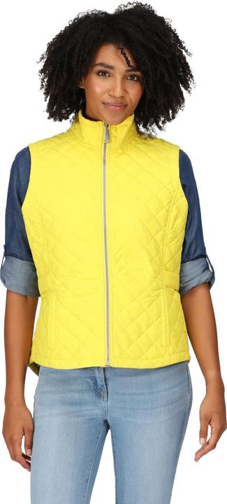 Actual product image Regatta Womens/Ladies Carmine Gilet (38 D)