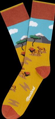 Produktbild Moustard Wild Box (Einzelpack, 36 - 40)