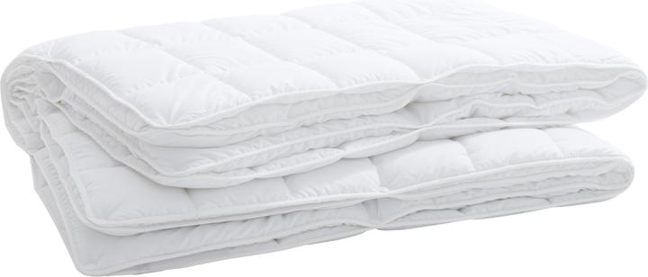 Immagine prodotto Billerbeck Clivia 4 stagioni (2190 g, 200 x 210 cm)
