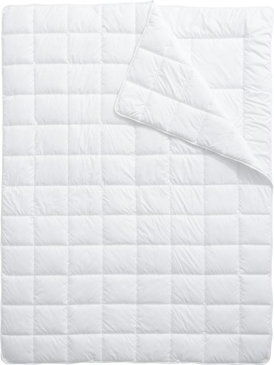 Immagine prodotto Billerbeck Clivia 4 stagioni (2190 g, 200 x 210 cm)