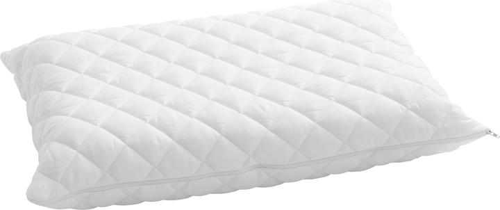 Billerbeck Latexi (50 x 70 cm)