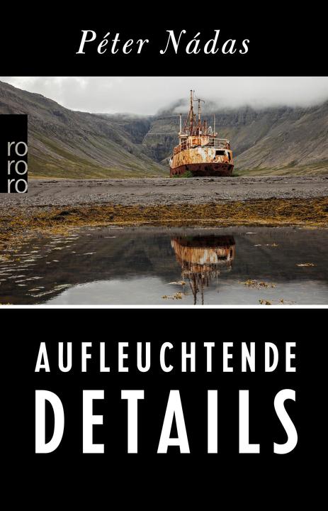 Actual product image Aufleuchtende Details (German, Péter Nádas, Christina Viragh, 2019)
