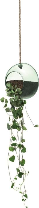Immagine prodotto LSA Canopy Hanging Planter Ø12cm recy. Ottica (7 cm)
