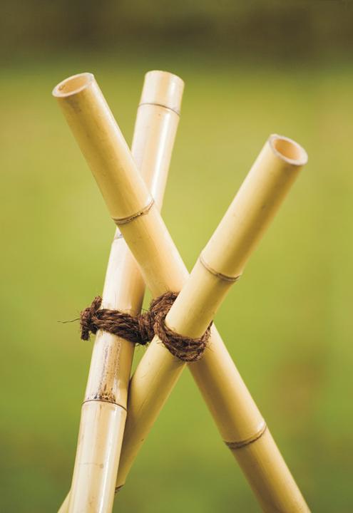 Immagine prodotto Windhager Cocco cravatta