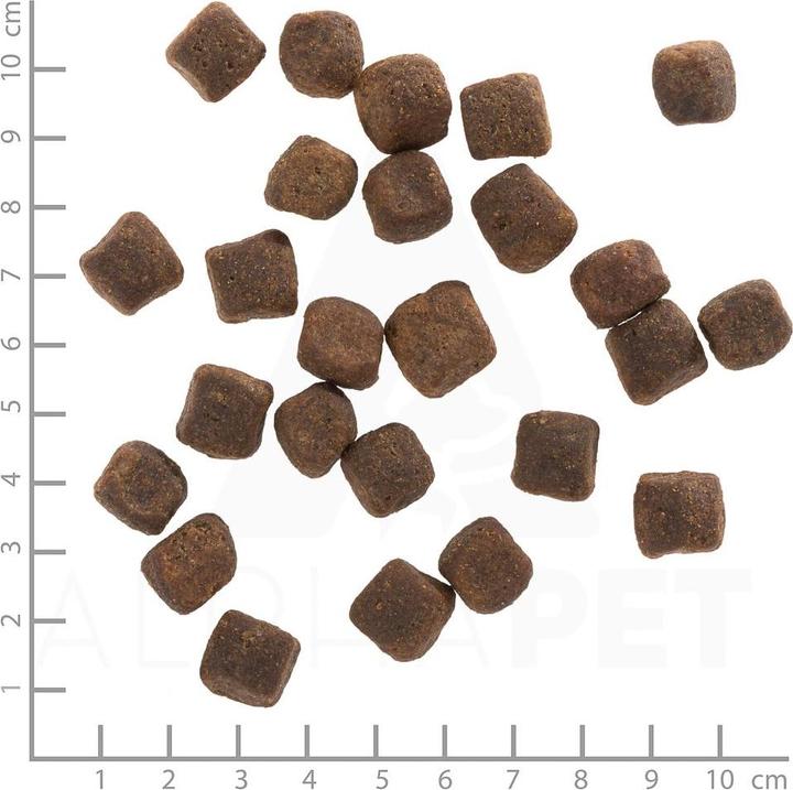 Actual product image Wolfsblut Dark Forest (Adult, 1 pcs., 12500 g)