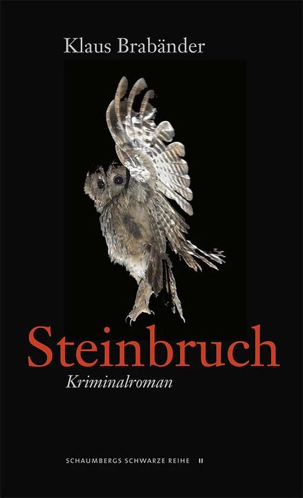 Immagine prodotto Steinbruch (Tedesco, Klaus Brabänder, 2015)