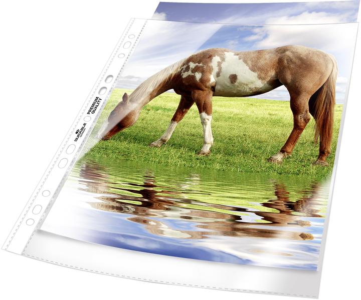 Produktbild Durable PROSPEKTHÜLLEN PREMIUM 1 Beutel Ã 50 St. 267719 (A4, 50 x)